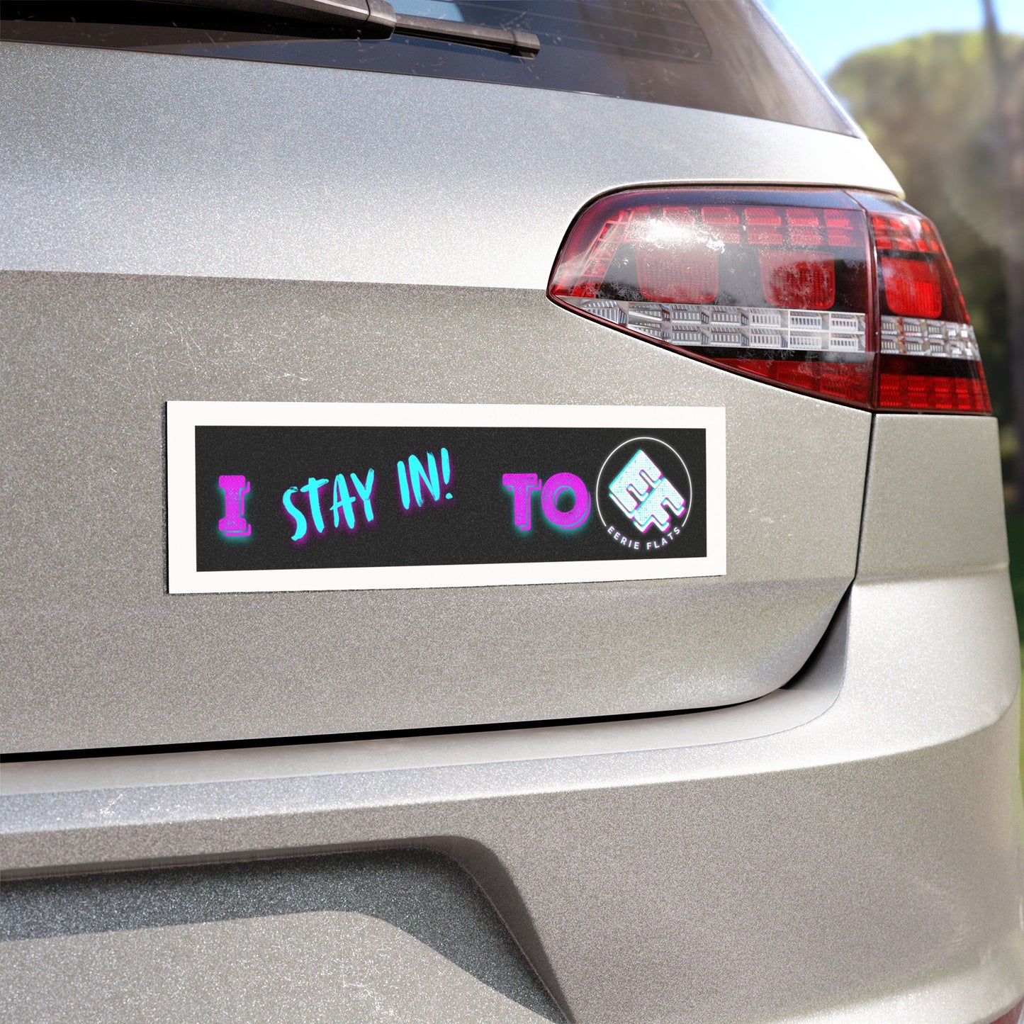 "I Stay In To EF" Car Magnet