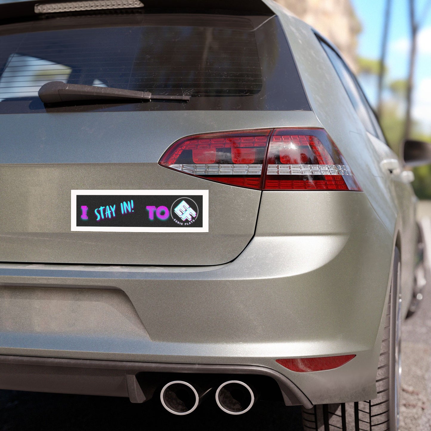 "I Stay In To EF" Car Magnet